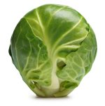 sprout.jpg