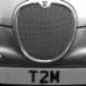 T2mRed